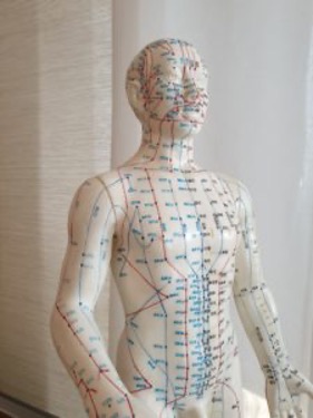 Modell eines menschlichen Körpers mit eingezeichneten Akupunkturpunkten und Meridianen – Darstellung aus der Traditionellen Chinesischen Medizin.