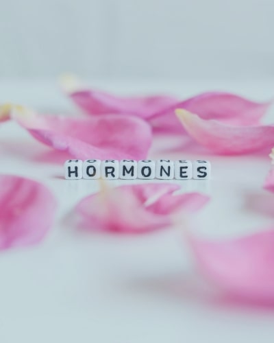 Hormonbalance und ganzheitliche Hormontherapie für Frauen – natürliche Unterstützung bei hormonellen Beschwerden